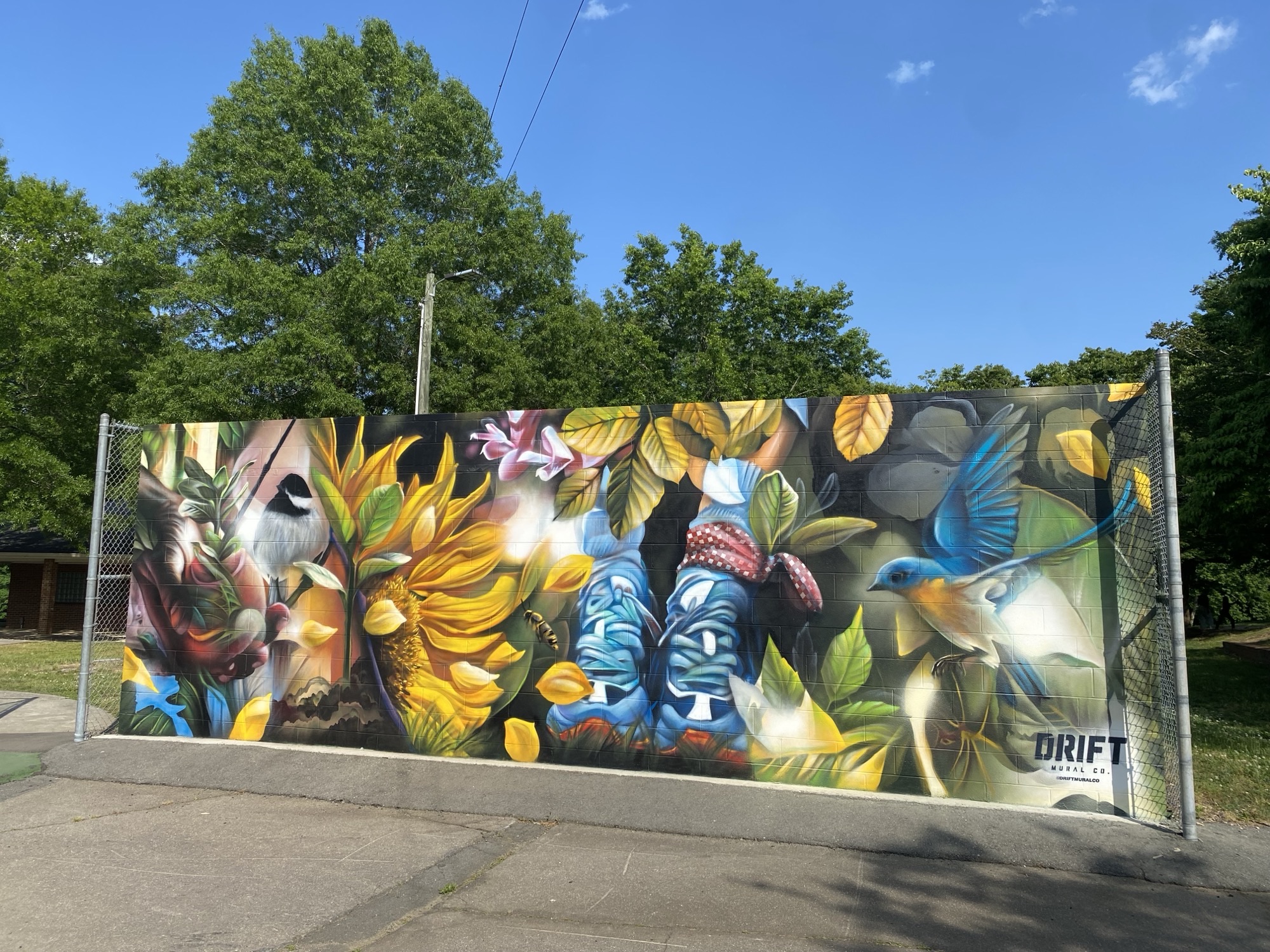 Mural on the Tennis Wall at Les Myers Park